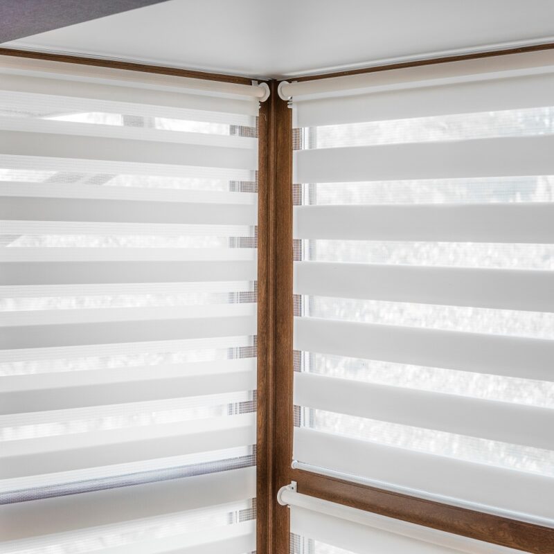 White fabric roller blinds on the plastic window with wood texture in the living room with blue wall